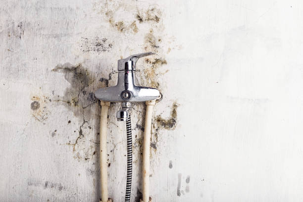 Best Best Mold Removal Companies  in Skyline Ganipa, NM